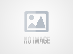 嘉实多齿轮油的特点、应用及主要种类